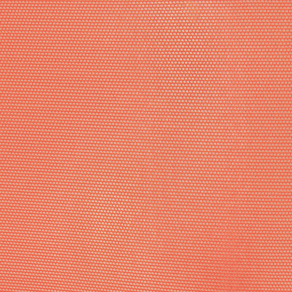Bikini Skims ULTRA FINE MESH Orange | 386BUDPSW